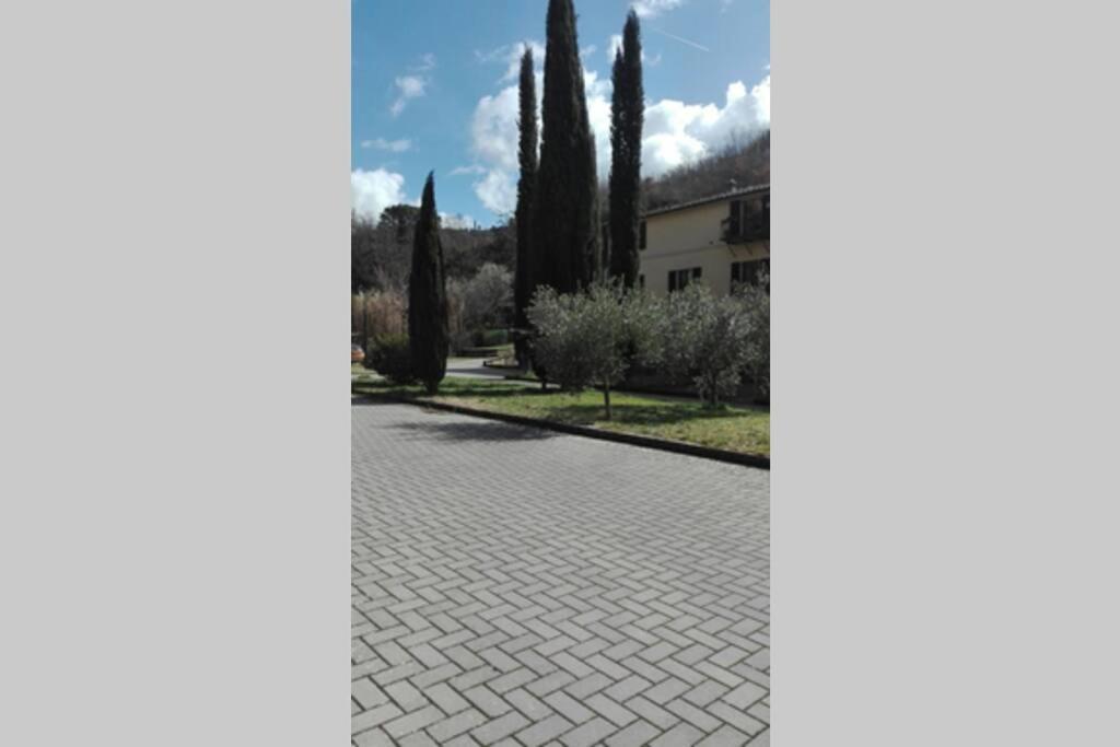 Апартаменти Casazappa - In Centro A Piedi, Parcheggio E Giardino Privato Сієна Екстер'єр фото